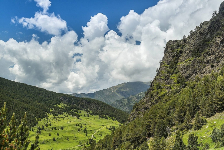 Una imatge del Parc Natural de l'Alt Pirineu.
