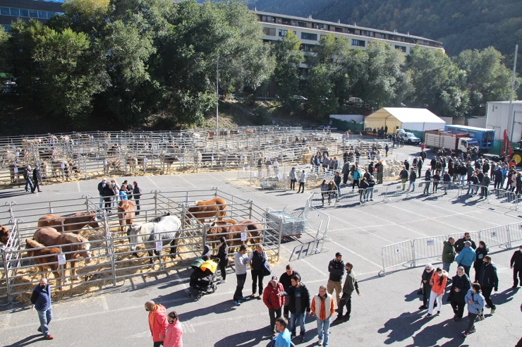 Una imatge del recinte on es va celebrar la 42a Fira concurs del bestiar.
 