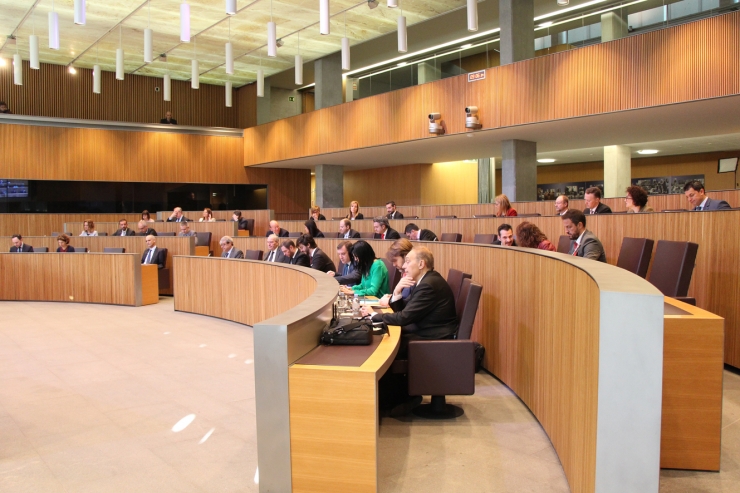 Un moment de la sessió de Consell General celebrada aquest dijous.