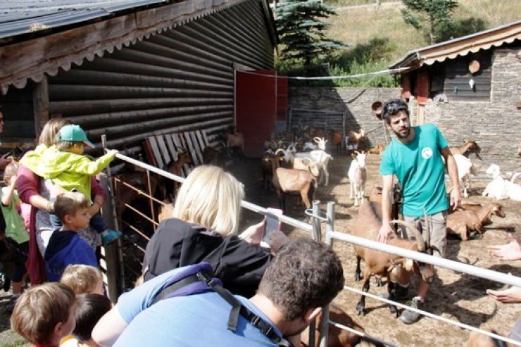 Una de les visites a una granja.