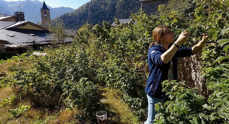 Sònia Cano Sansa, a l'hort d'on surten les fruites amb les quals El Pastador fa les seves melmelades.