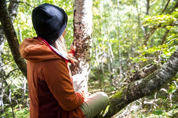 Una activitat de bany de bosc.