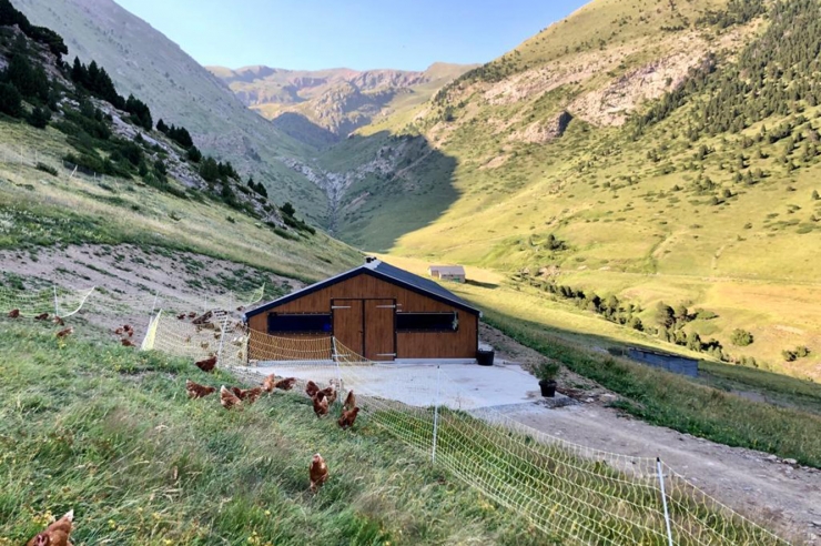 La granja de gallines que té la certificació ecològica.
 