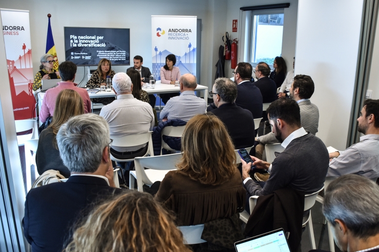 Durant la presentació del Pla Nacional per a la Innovació i la Diversificació.