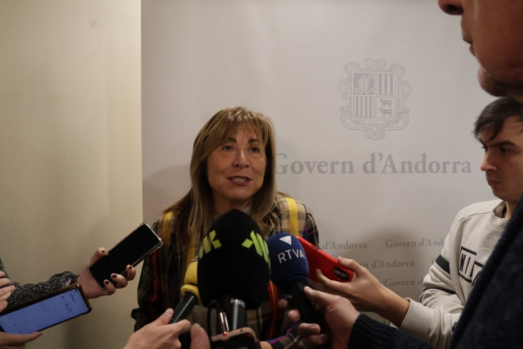 La ministra de Presidència, Economia, Empresa, Treball i Habitatge, Conxita Marsol, durant la compareixença.