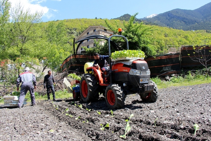 Menys confiança empresarial.