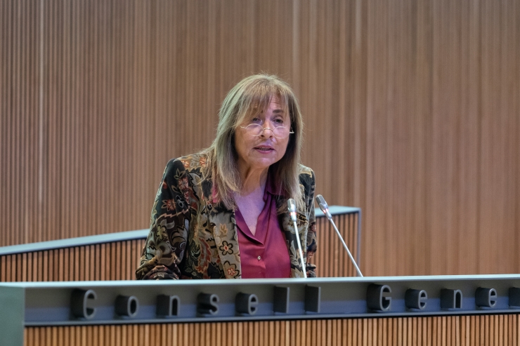 La ministra de Presidència, Economia, Treball i Habitatge, Conxita Marsol, al Consell General.